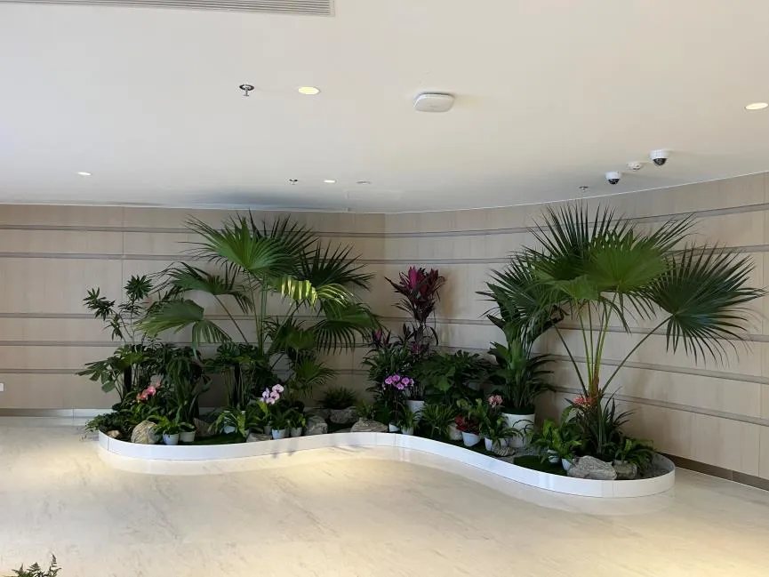 速看！宁波慈溪花卉出租价格详情，别错过这波福利